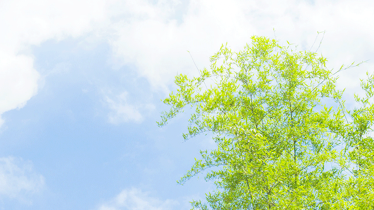 1588644789408756.png 微信圖片_20200505100950.png